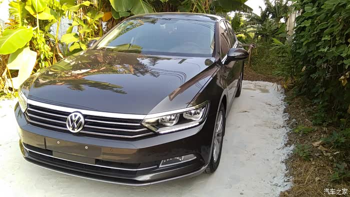 大神有木有摩卡棕迈腾图