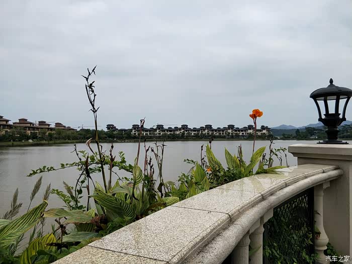 【旅游季】 带你走进高明鹭湖森林度假区.