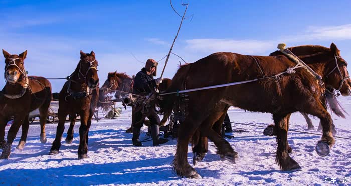 【图】【渔人码头】驾虎赏食物链顶端的狩猎场景!_瑞虎3论坛_汽车之家