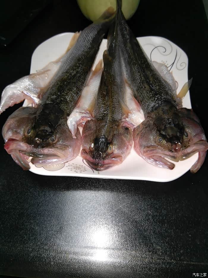 绅宝教你玩路亚怎么选鱼线