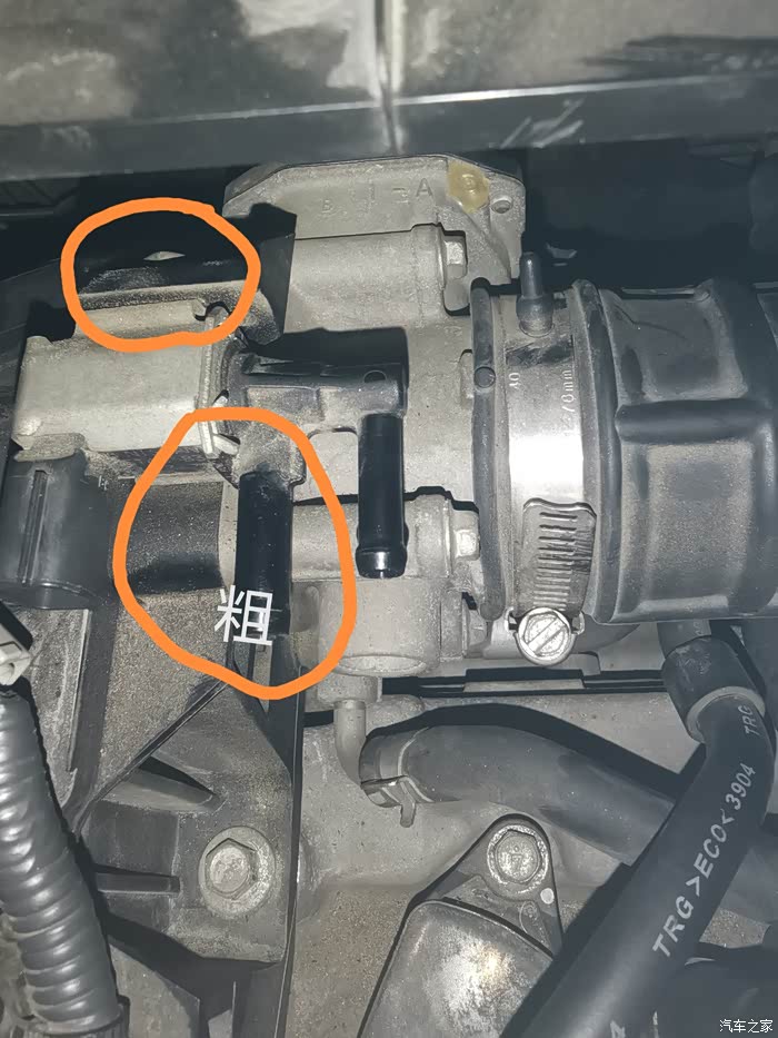 13年的骊威电磁阀碳罐螺丝用什么工具拆请大神指点