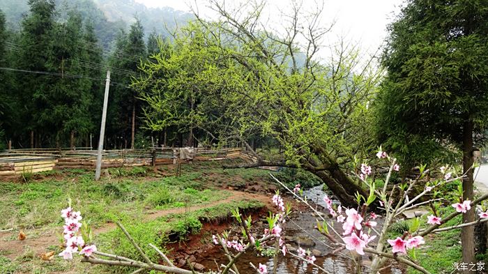 玩水飛鴿林場大坡鄉水上公路