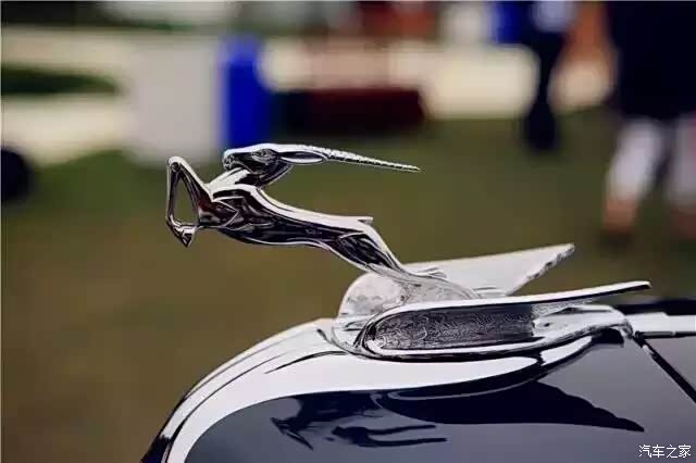 孤陋寡闻了,些车标我真就见过劳斯莱斯的!