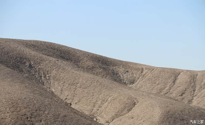 山上已经光秃秃的了