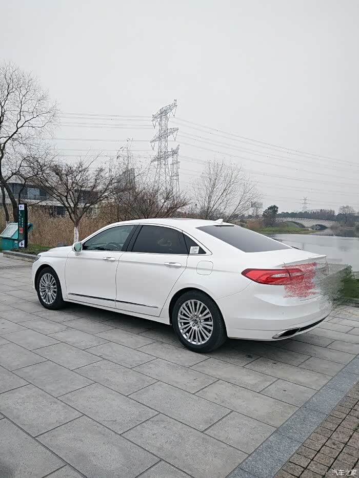 2017豪华白牛提车作业