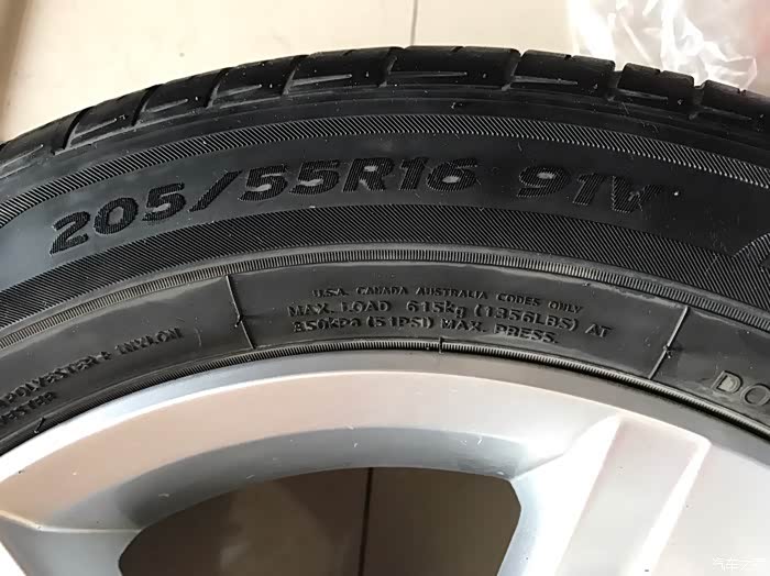 人中泰迪#老高的故事