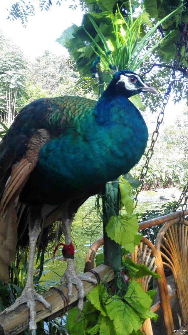 爱出发之游玩七星公园