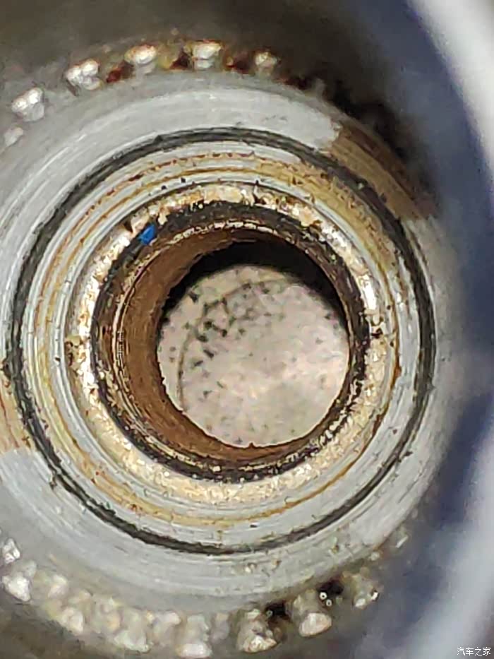 想看看我缸积碳大不大