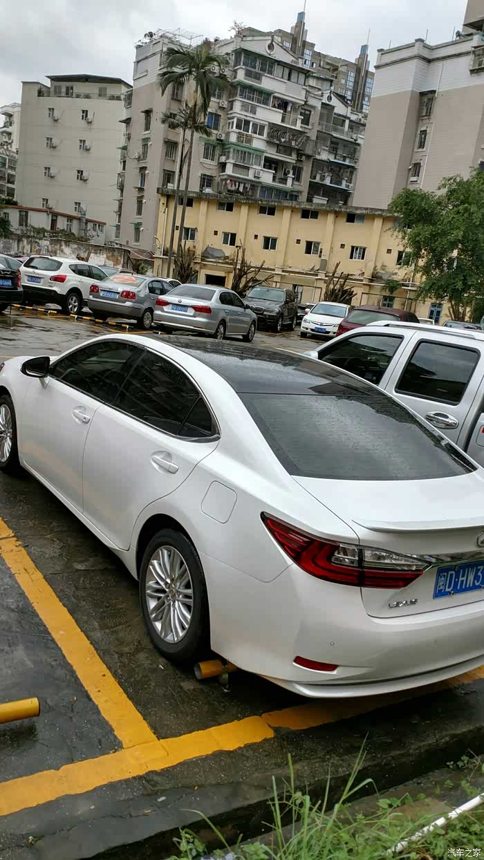 白车黑顶的效果给要贴的人看看效果