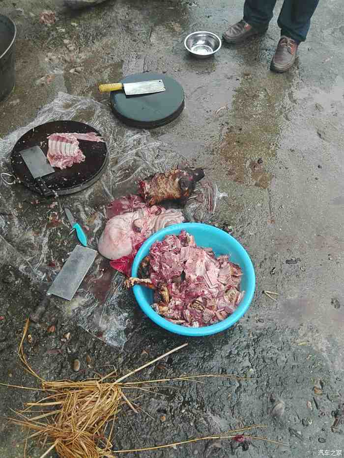 狗肉屠宰场图片