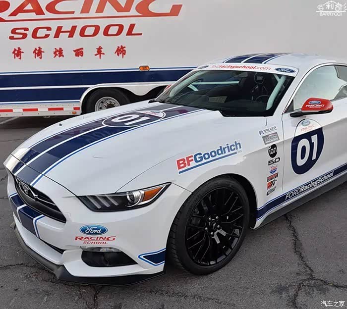 白色野马配蓝色拉花好看的不要不要的