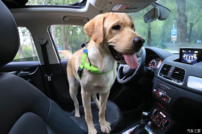 【图】有颜就是任性,家中嫩模助阵_奥迪q3论坛_汽车之家论坛