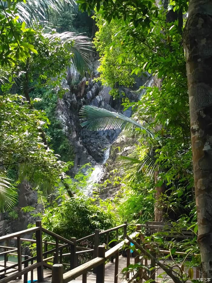 昌江县霸王岭国家森林公园一日游