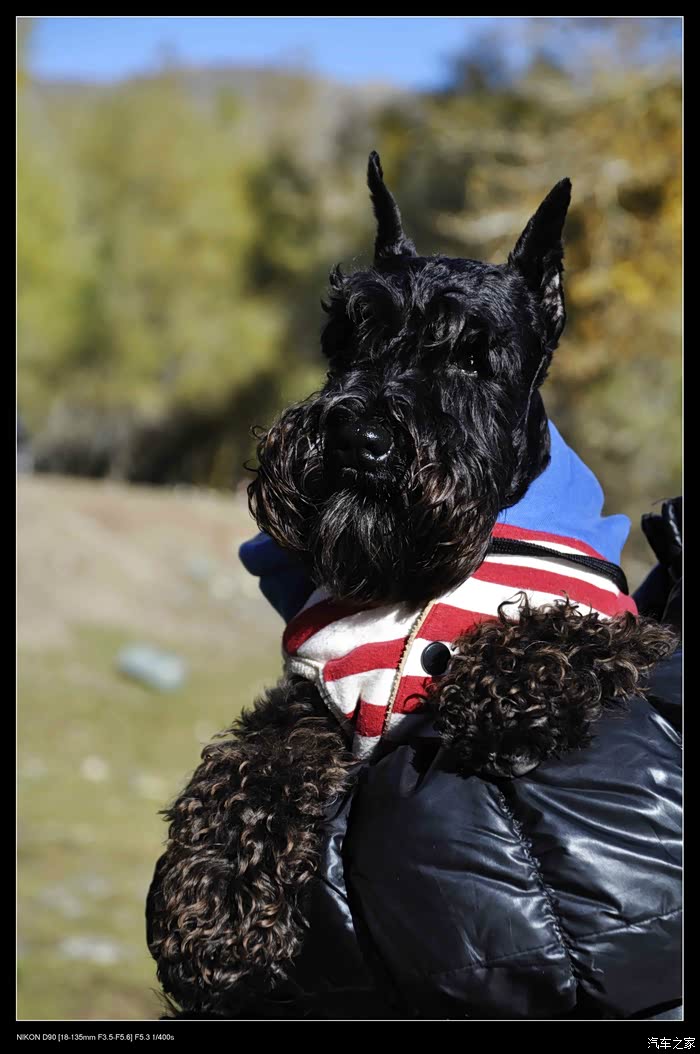 2015款柴哈中秋国庆成都到新疆7500公里12天千里走单骑