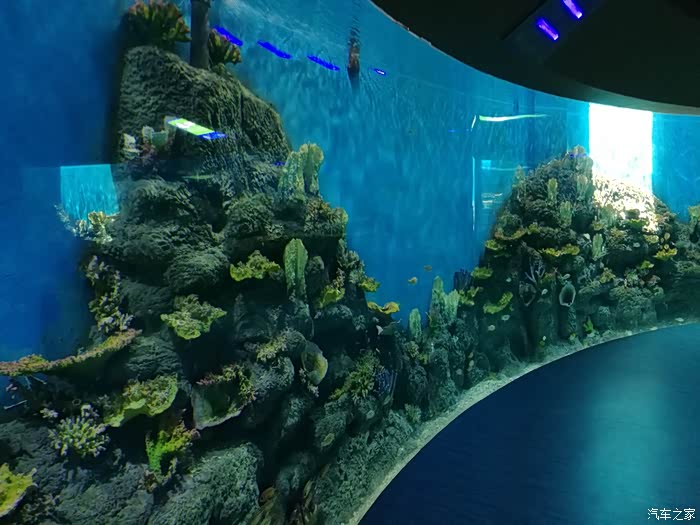 重庆市巴南区汉海海洋公园(第五章)