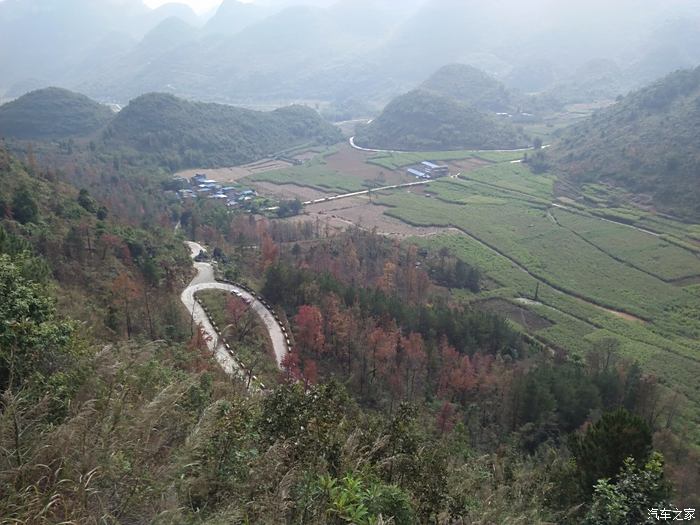 田阳琴华村风景区图片图片
