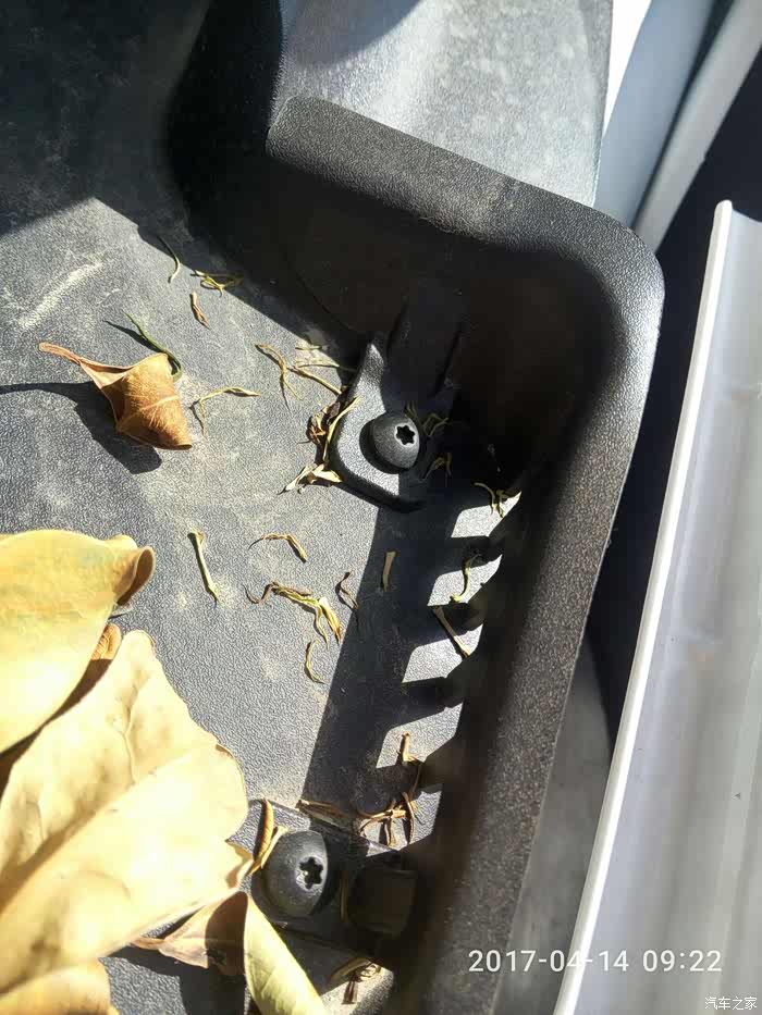 【图】福睿斯优缺点个人用车总结