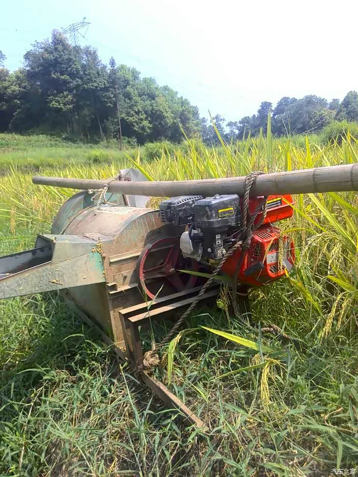 【四川长安】回宜宾农村打谷子,痛并快乐着!