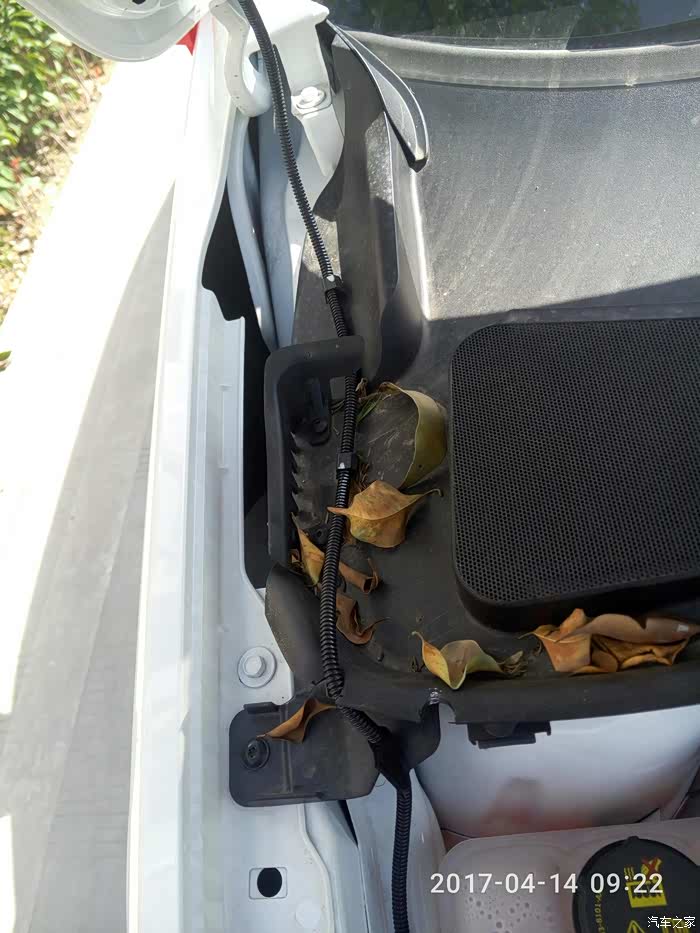 福睿斯优缺点个人用车总结