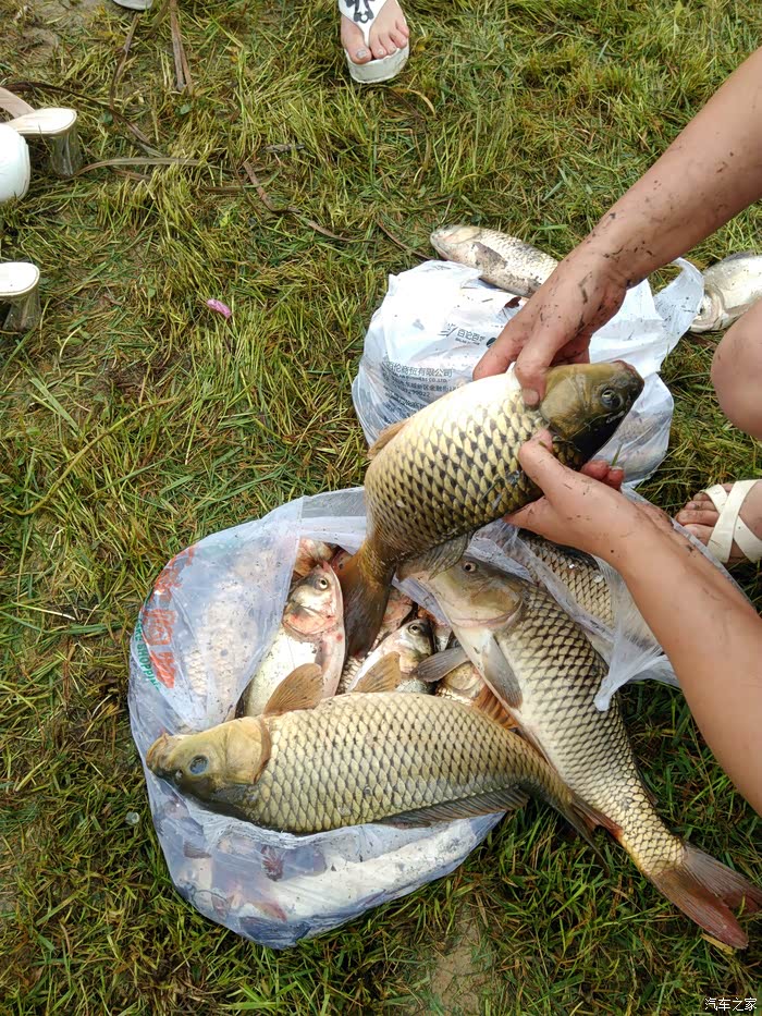 简阳人民喜欢浑水摸鱼有图有真相