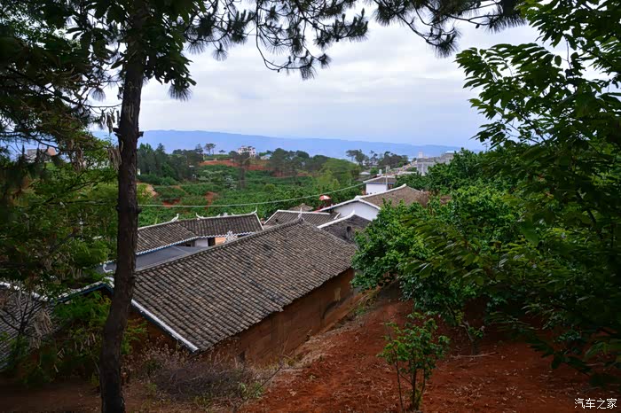 出行见闻38西昌市樟木箐乡丘陵村茅坡采摘樱桃