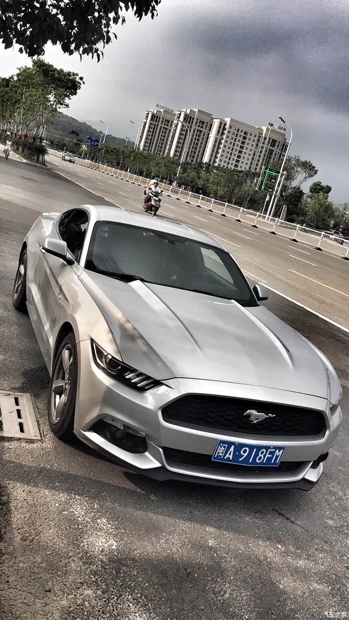 车商城提美规野马mustang23t闪光银