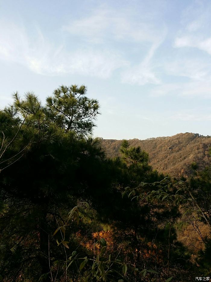 冬季登信陽市震雷山