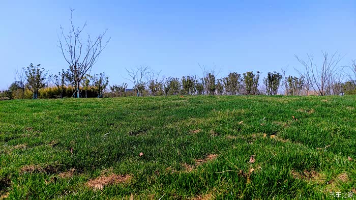 【积分大放送】春意盎然的放马滩公园