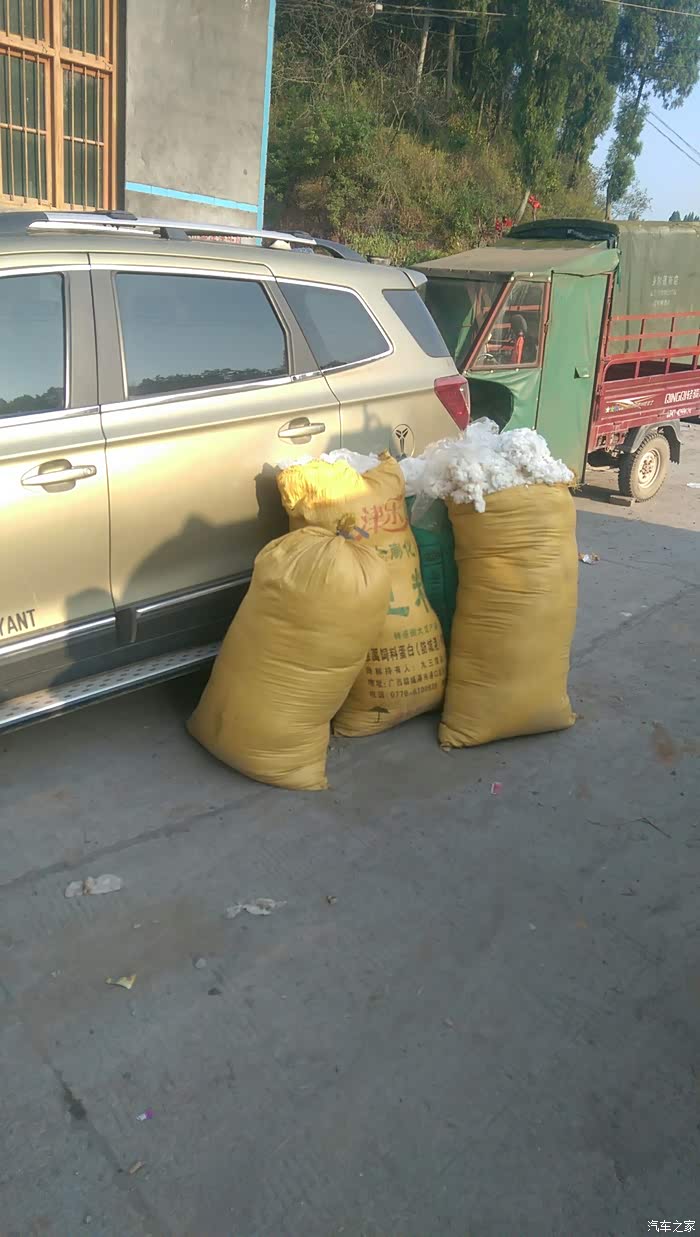 小三装棉花去弹棉被!