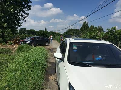 葡萄园的外面停车很费劲,大家只能自己找位置