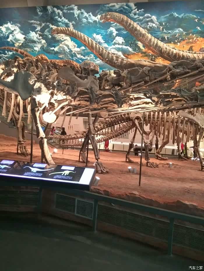 11.25北碚自驾游挖掘恐龙化石