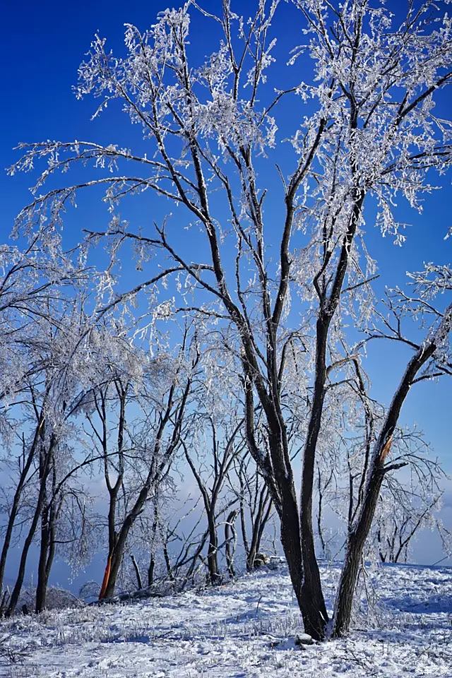 漫步在雪徑裡,總讓人想到唯美浪漫的韓劇.