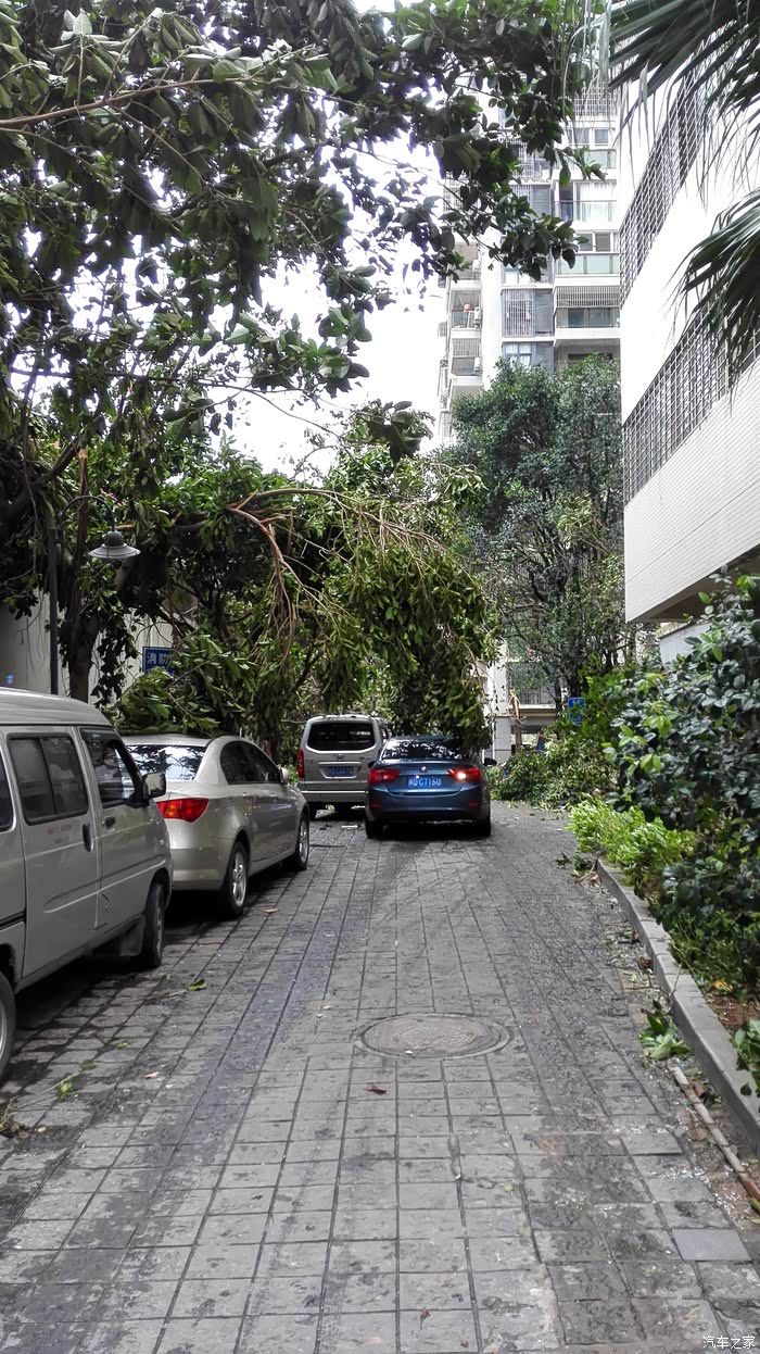 台风莫兰蒂重创厦门,我的致悦受损严重.