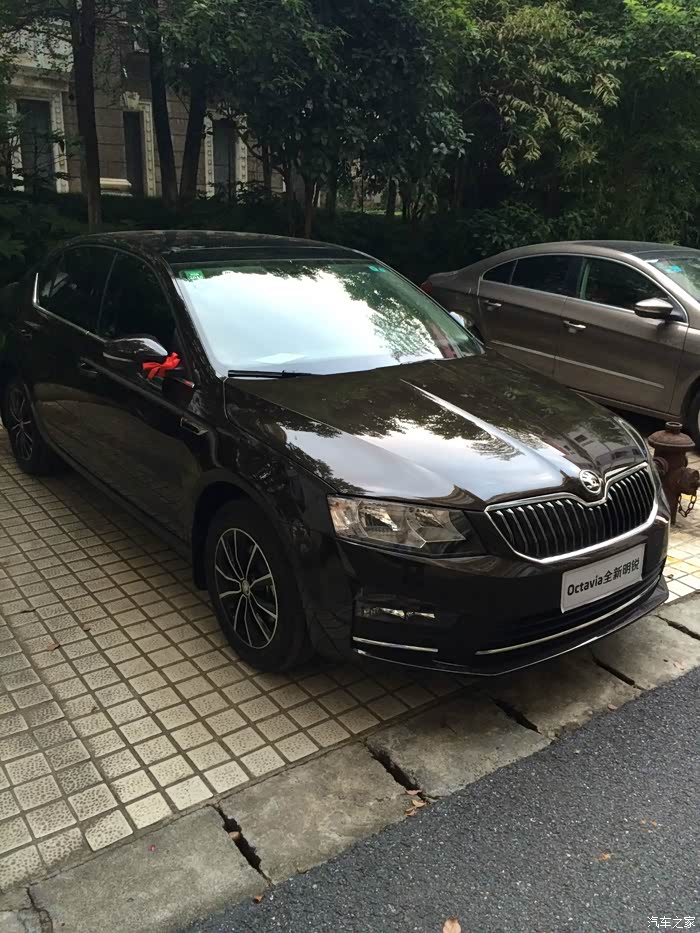 6l自动智行版琥珀棕提车记_明锐论坛_汽车之家论坛