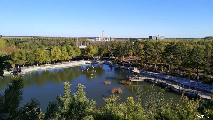 漫步系列之四依安县植物园