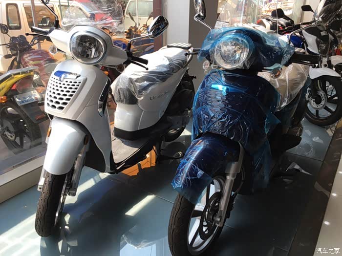 看了金城圣甲虫的一点看法