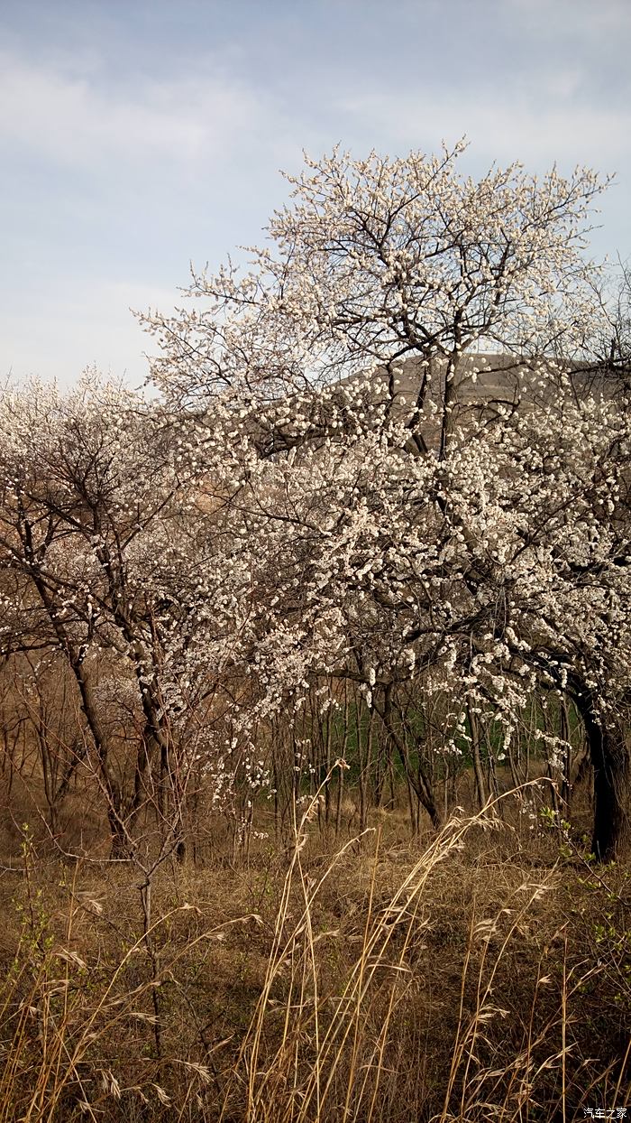 汝州杏花旅遊文化節打鐵花