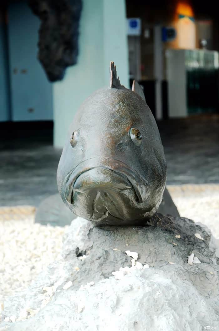 九号小欧带大家游台湾 之 台湾海洋馆