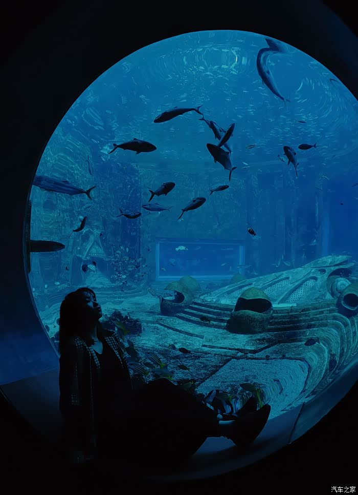 你好2021亚特兰蒂斯失落的空间水族馆