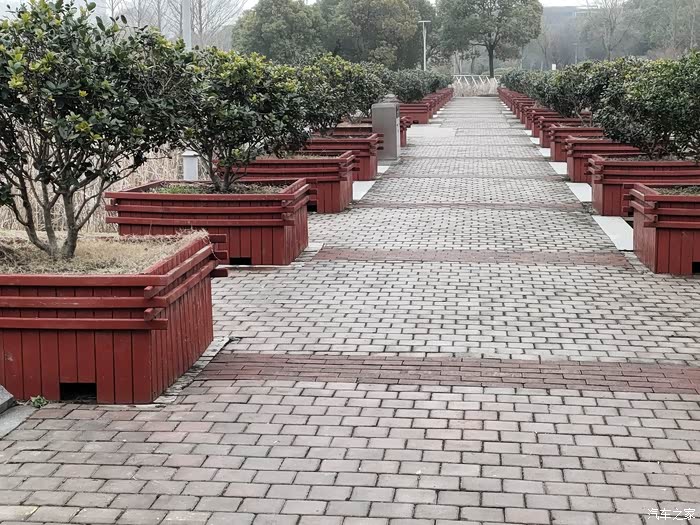 冬日里的官林公园