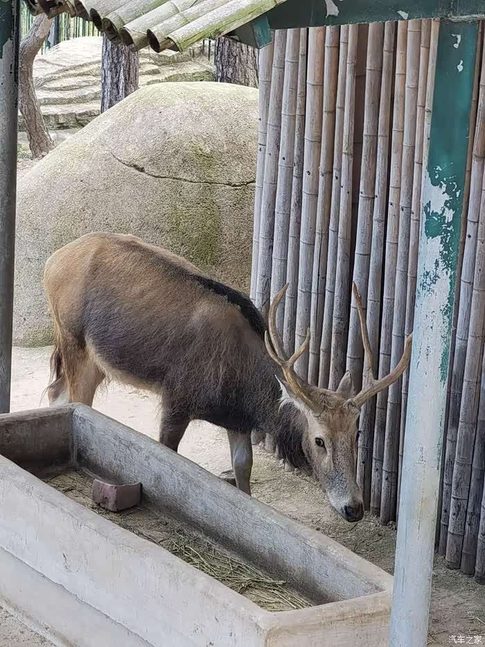 山西斯柯达车友在路上之游刘公岛动物园
