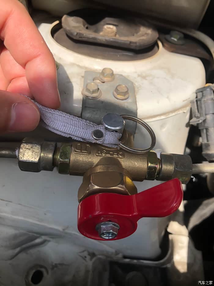 送福利】春季开始爱车如家人,感谢有车的陪伴_朗逸论坛_汽车之家论坛