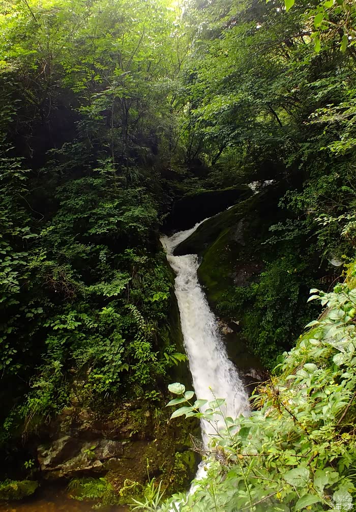 红河谷森林公园