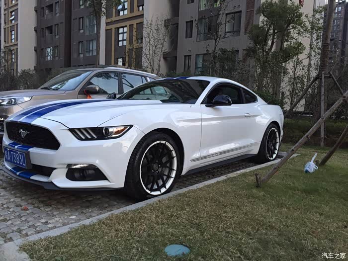 【图】求认证:中规白色野马 自驾日照青岛_mustang论坛_汽车之家论坛