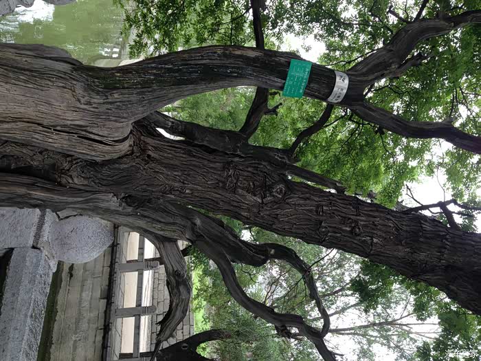 辉县百泉鸭口游