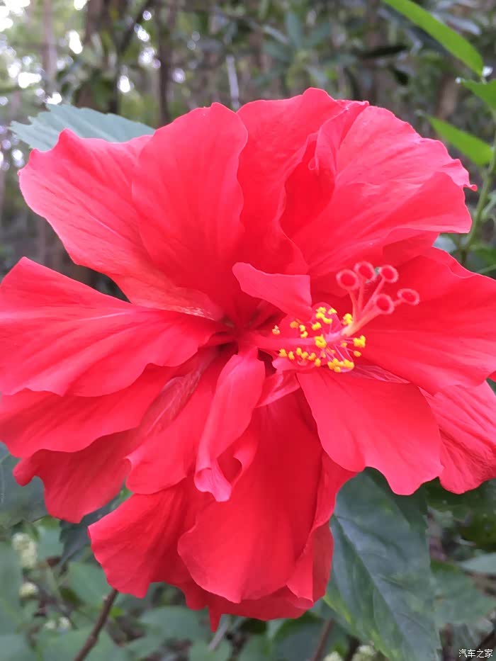 我们之间的距离好像忽远又忽近