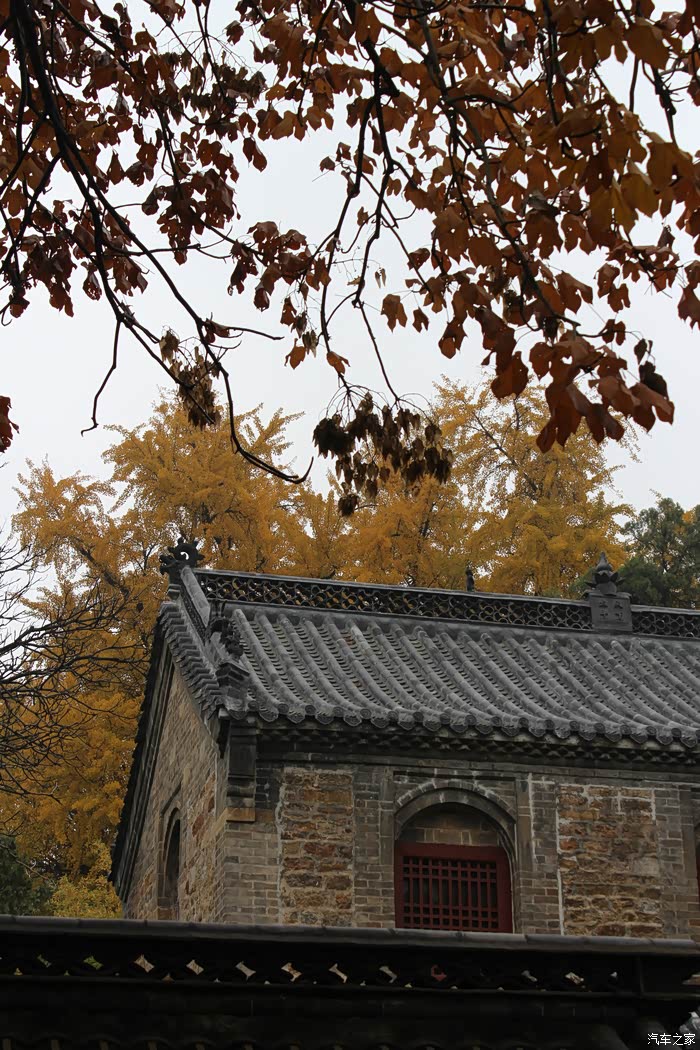 理财论坛拜山贴秋游日照浮来山定林寺
