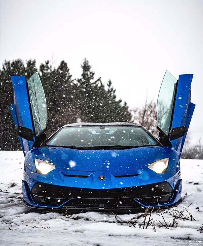 兰博基尼超级拉风的剪刀门