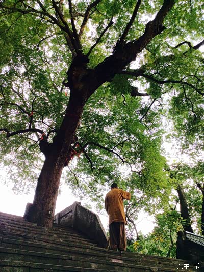 时间接近六点,僧人在扫落叶了,突然特别感慨他们这种生活,在喧嚣尘