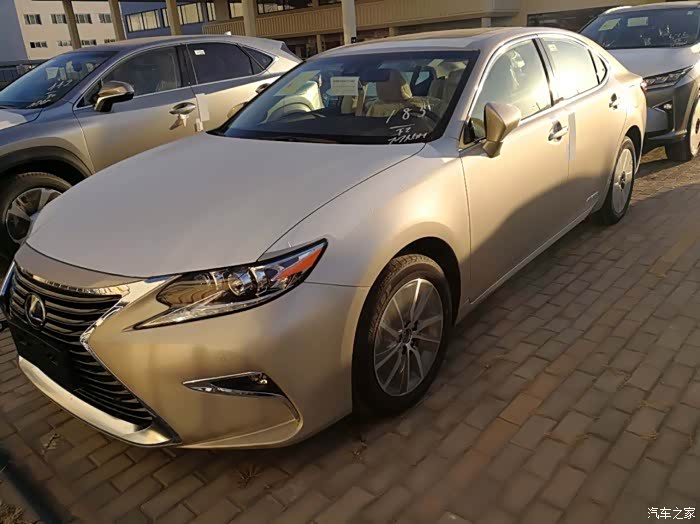 es300h马克莱文森豪华版今天到店了